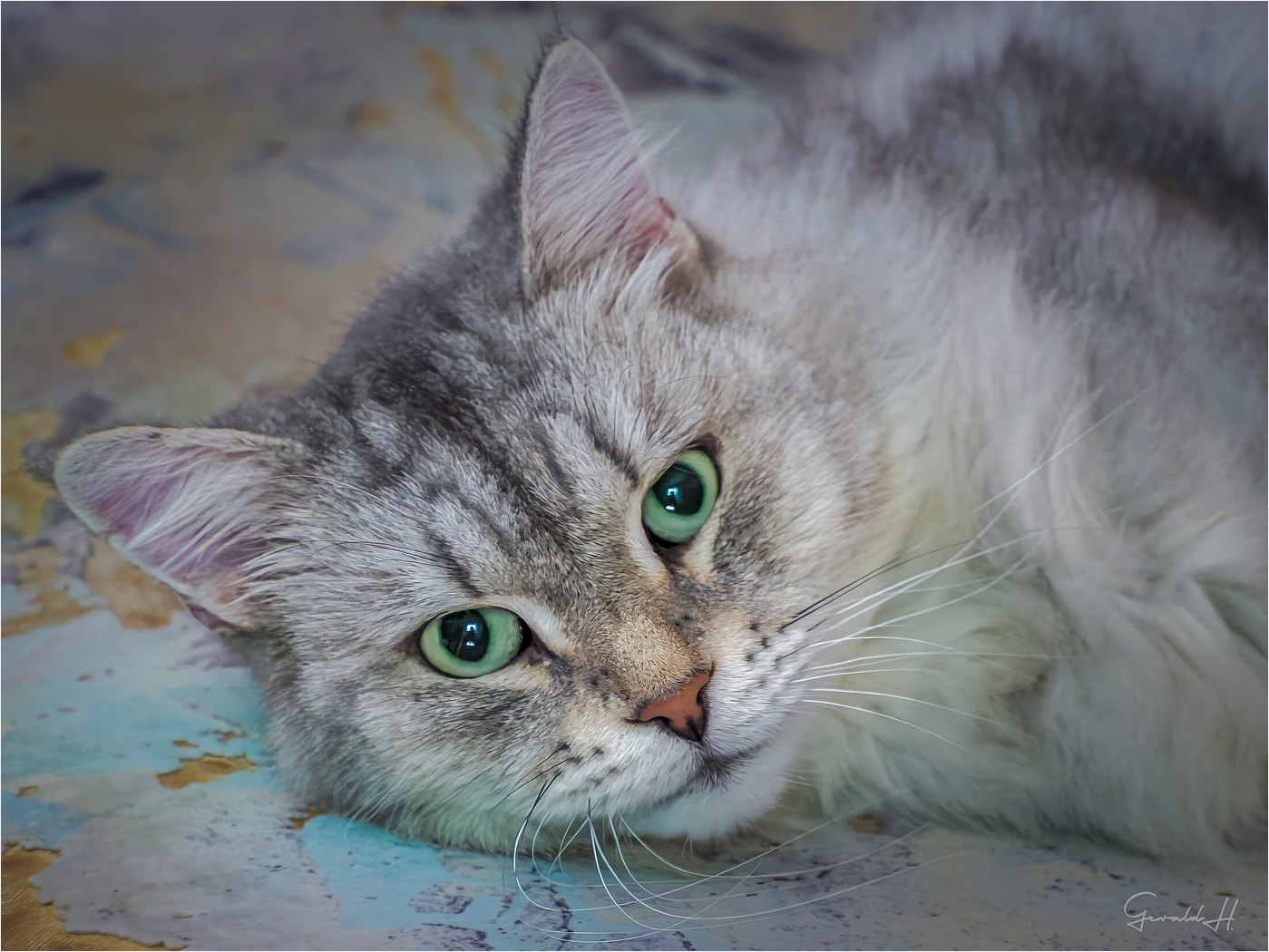 MikeyFritz OM1628175 Bearbeitet 2 1