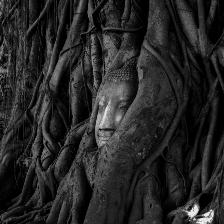Urnatur