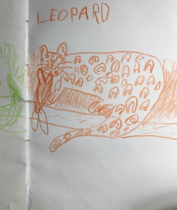 A9B0467D 2F74 444C BB2D 28DFBEFCDF71 1 105 c e1747971890613