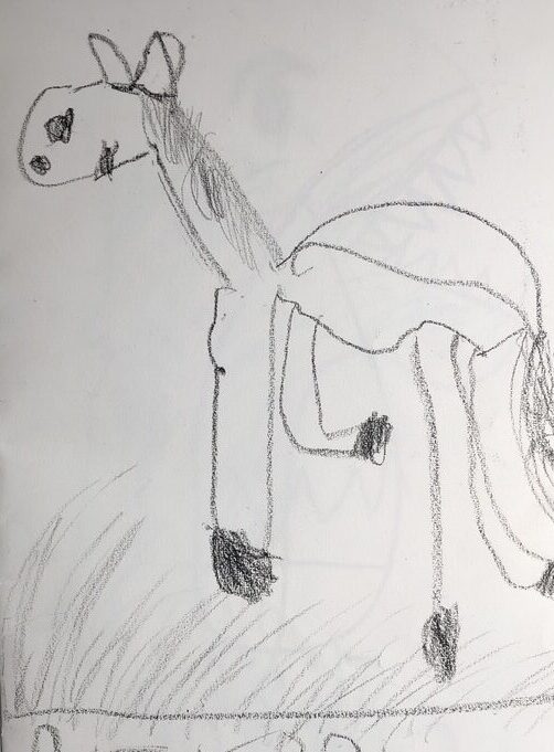 FB52758C F99E 4E80 971A 340C3C742003 1 105 c e1747957678598 edited