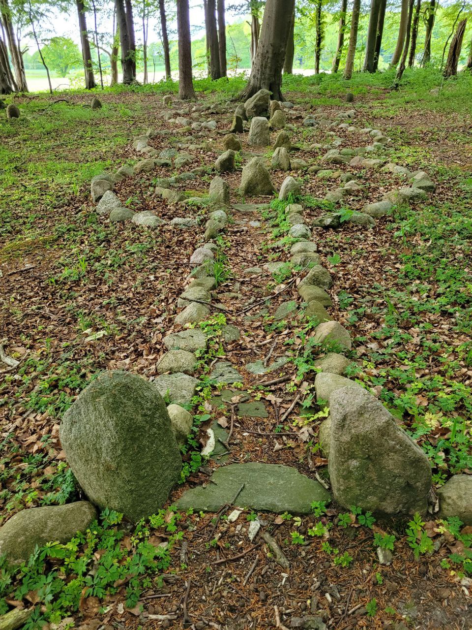 Volkdert BaumSteinkreis 2025 08 04 09 24 17