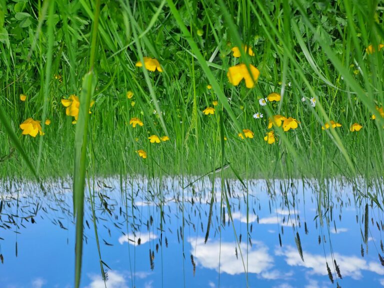 Frühling